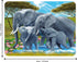 3D LiveLife Magnet - Pachyderm Pals from Deluxebase. Lenticular 3D Elephant Fridge Magnet. Magnetic decor for kids and adults with artwork license...