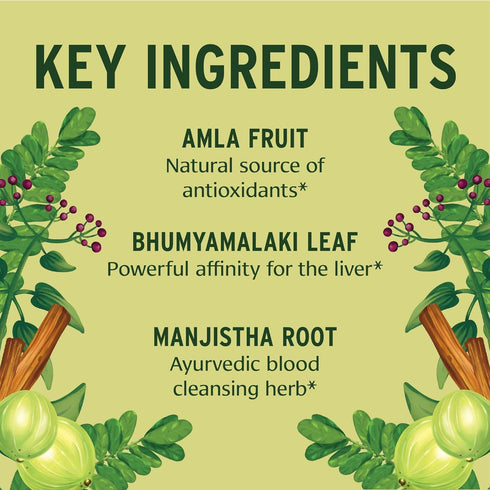 Banyan Botanicals Total Body Cleanse – Organic Cleanse Supplement with Amla & Manjistha – Supports Healthy Digestion, Detox, & Natural Cleansing* ...