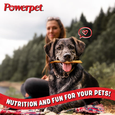 Treats Natural Smoked Beef Jerky Skin for Dogs - Premium High Protein, Grain-Free, Rawhide-Free, Long-Lasting Chews, Ideal for All Breeds, Promote...