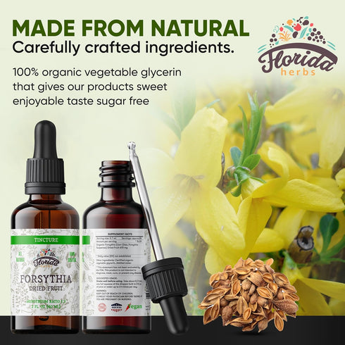 Forsythia Tincture, Organic Forsythia Extract (Lian Qiao, Forsythia Suspensa) Health Supplement, Non-GMO in Cold-Pressed Organic Vegetable Glyceri...