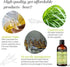 Avatra Lemongrass Essential Oil for Scalp, Skin, & Diffuser | Aromatherapy | Soaps & Candles | Pure & Natural Essential Oil- 3.38 Fl Oz...