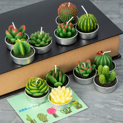 Handmade Delicate Succulent Cactus Candles for Birthday Party Wedding Spa Home Decoration(12 Packs-2)...