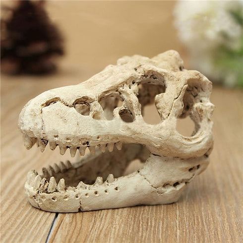 Desert Reptile Decor Skull Fish Tank Decorations Bearded Dragon Accessories Desert Reptile Decor Bearded Dragon Decor, Snake Tank Decor (human + D...