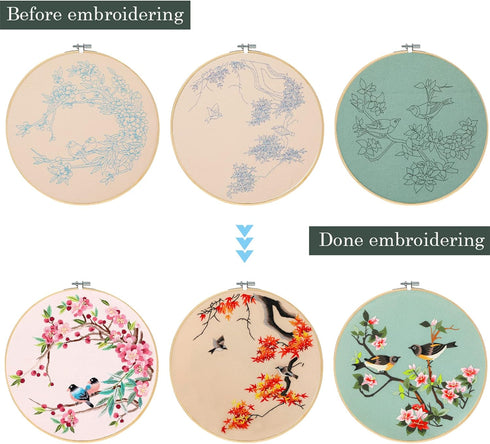 Santune 3 Pack Embroidery Kits for Adults Cross Stitch Kits for Beginners Hand Embroidery with Bird Patterns and Instructions Hobby Kits for Adult...