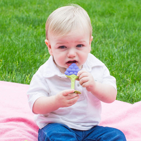 Innobaby Original Teethin Smart EZ Grip Fruit Teether and Sensory Toy for Babies and Toddlers in Grape. BPA Free Teether...