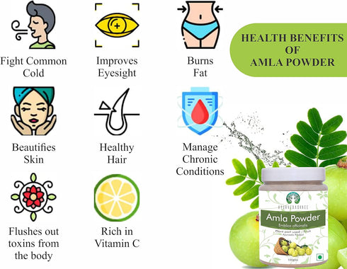 Amla Fruit Powder (Amalaki) 100 Gm | Raw and Non GMO | Rich in Antioxidant Vitamin C | Vegan | 100% Raw from India | Emblica Officinalis | Indian ...