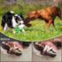 Plush Dog Toys for Large Dogs, Duck Stuffed Squeaky Dog Chew Toy with Crinkle Paper, Interactive Pull Puppy Toys - Tug of War Dog Toys for Big Med...