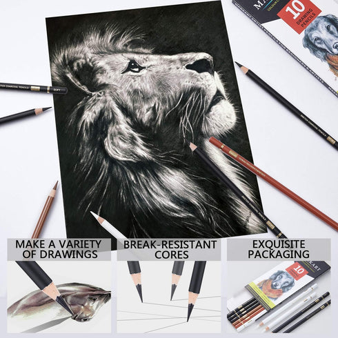 MARKART Charcoal Pencils for Drawing, 10 Pack Black & White Charcoal Pencils for Sketching, Shading, Blending, Artist Pencil for Beginners & Artis...