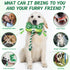 Squeaky Dog Toys : Interactive Dog Plush Toy with Full Crinkle Paper and Cute Puppy Chew Toys with Rope - Funny Gaming Controller Shape Dog Birthd...