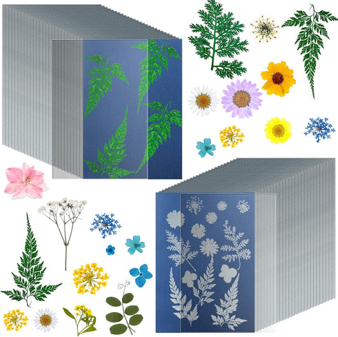 38 Sheets Cyanotype Paper A5 Sun Print Paper Kit with 2 Clear Acrylic Sheets High Sensitivity Solar Drawing Paper Nature Sun Printing Paper for Ad...