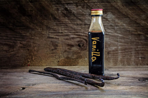 10 Organic Madagascar Vanilla Beans - Whole Extract Grade B Pods for Baking, Homemade Extract, Brewing, Coffee, Cooking...