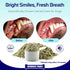 Dental Powder for Dogs – Teeth Cleaning & Dental Care Made Easy – Removes Plaque, Tarter, Stains & Freshens Breath – Plaque & Tartar Remover for D...