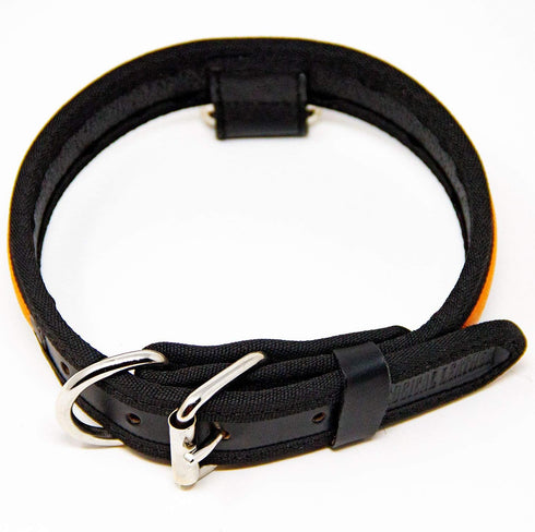 Premium Leather Dog Collar - Best Full Grain Heavy Duty Genuine Leather Collar (Orange, Medium)...