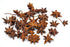 Slofoodgroup Whole Star Anise - For Cooking, Pickling and Spice Mixes - 1 Ounce...