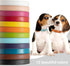 Puppy Collar - Identification ID Leather Small Dog Collars - 12 pcs Adjustable Soft Colorful Cute Pet Basic Collars for Girl Boy Dogs Cats...