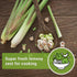 Sow Right Seeds - Lemon Grass Seed for Planting - Non-GMO Heirloom Packet with Instructions for Easy Planting and Growing an Herb Garden - Indoor ...