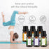 Earnest Living Tea Tree Oil Peppermint Oil Lavender Oil Essential Oil Set for Diffusers for Home Oil Diffuser Essential Oils Eucalyptus Essential ...