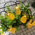 SNOMYRS Solar String Lights Outdoor 13Ft 20 LED Solar Pineapple String Lights with 8 Lighting Modes Fairy Lights for Garden Yard Lawn Patio Party ...