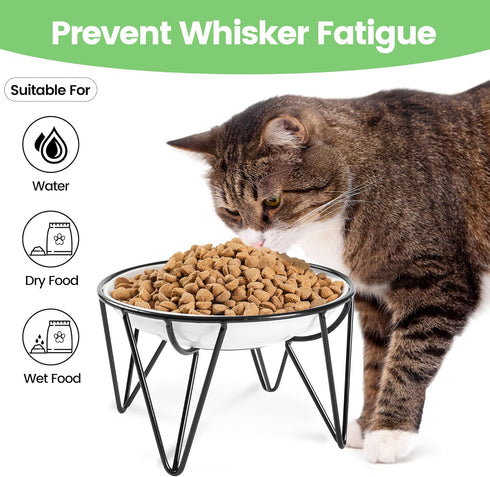 Ceramic Cat Bowls, 2 Pack - Raised, Whisker Friendly, Anti-Vomiting Cat Food Plates - Hygienic, Secure Material, Elegant Stand, 10 oz, for Indoor ...