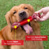 Apasiri Tough Dog Toys for Aggressive Chewers Large Breed, Chew Toys, Bones Made with Nylon and Rubber, Big Indestructible Toy, Medium Puppy Teeth...