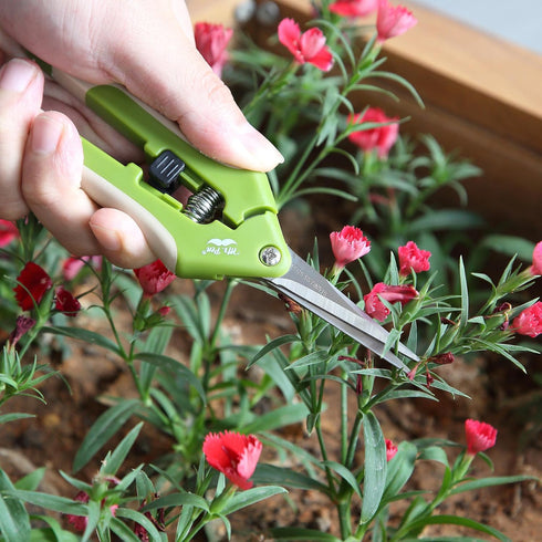 Mr. Pen- Gardening Scissors, 6.5 Inch, Green, Pruning Shears for Gardening with Straight Stainless Steel Blade, Plant Trimming Scissors, Garden sh...