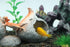 AQUA KT Aquarium Landscape Cichlid Stone Fish Hideout Rock Betta Cave Double Cave Design Dinosaur Eggs Shape Recommended for Fish Tank Decoration...