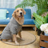 SCENEREAL Dog Hoodie Sweaters for Small Medium Large size Dogs, Fleece Dog Sweatshirt with Hat and Pocket,Soft Cotton Cold Winter All Weather Dog ...
