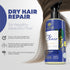 All Natural Hair Repair Shampoo for Men & Women- Moisturizing Shampoo for Dry Hair- Paraben & Sulfate-free Shampoo with Seaweed & Cupuacu for Inte...