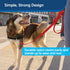 PetSafe Nylon Dog Leash – Strong, Durable, Traditional Style Leash with Easy to Use Bolt Snap for Small, Medium and Large Dogs – 3/8" x 6', Red...
