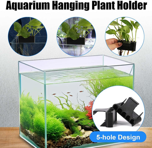 2pcs Aquarium Plant Holder, 5 Holes Top Rimmed Aquarium Floating Planter Box Plastic Aquatic Plant Cup Holder Hanging Aquarium Plant Basket Rack S...