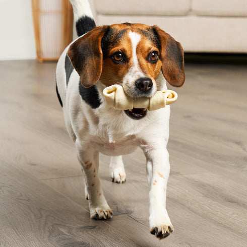 American Sourced Beefhide Bones 4-5" Dog Chew Treats - Natural Flavor, 10 Count/1 Pack...