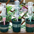 New Upgraded Plant Self Watering Spikes,Adjustable Plant Watering Devices with Slow Release Control Switch Water Dripper,Watering Planter Insert,A...