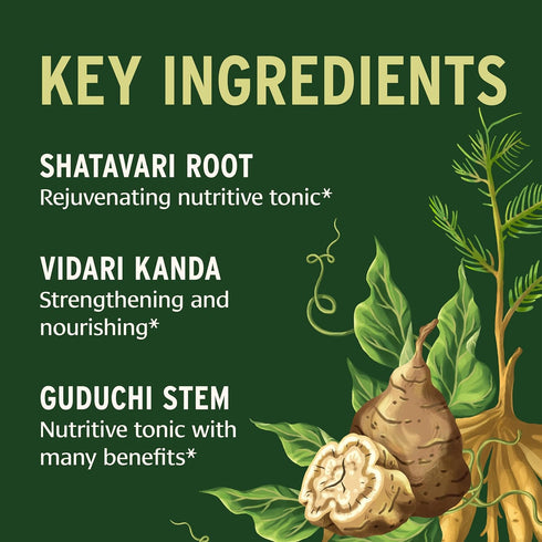 Banyan Botanicals Women’s Support – Organic Herbal Tablets – Promotes a Healthy Female Reproductive System* – Supports Regular & Healthy Menses* –...