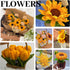 TOAOB 200pcs Pipe Cleaners Craft Flower Supplies DIY Sunflowers Bouquets Making Kit Chenille Stems Artificial Flowers Craft Kit for DIY Art and Cr...