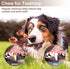 PETSTA Indestructible Dog Toys for Aggressive Chewers, Extreme Tough Dog Toys for Large Dogs, Real Beef Flavored, Dog Bone for Medium/Large Dogs B...