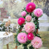 Pink Paper Flower Wedding Centerpiece Birthday Party Backdrop Nursery Room Wall Home Decoration Pack of 9...