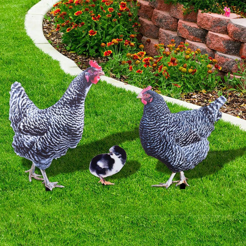 SaiDian 1Set Acrylic Chicken Statues Realistic Chicken Family Animal Garden Statues for Yard Art Lawn Rustic Garden Outdoor Décor...