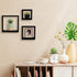 Kiera Grace Cubbi Floating Modern Wall Mounted Shelves for Bedroom, Bathroom, Kitchen, 5"/7"/9", Black, 3Pack...