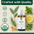 Center of Paradise Immune Restart Organic Essential Oil Blend for Immune Support* (10 ml) - USDA Certified & Non-GMO Blend of Eucalyptus, Peppermi...