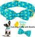 ARING PET Easter Dog Collar-Adorable Chick Dog Collar with Bow, Adjustable Bowtie Dog Collar Pet Collars with Metal Buckle...