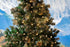 Novelty Lights 34FT 100 LED Christmas String Lights, Tree Lights Indoor Outdoor Commercial Grade LED Mini Light Set With 40,000 Hours Rating, Chri...