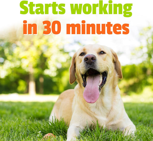 Pet Naturals BusyButter Extra Strength Calming Peanut Butter with Melatonin for Dogs - Great for Treats, Lick Mats, Training, Calming, and Enrichm...