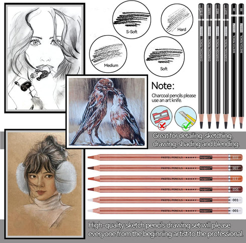 PANDAFLY Professional Colored Charcoal Pencils Drawing Set, 20 Pack Art Pencil Kit - Pastel Chalk Pencils, Black & White Charcoal Pencils, Graphit...