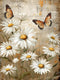 UPABLUNSO DIY 5D Diamond Art Kits Painting for Adults Daisy Flowers and Butterflies for Farmhouse Inspirational Quotes 12x16 inch...