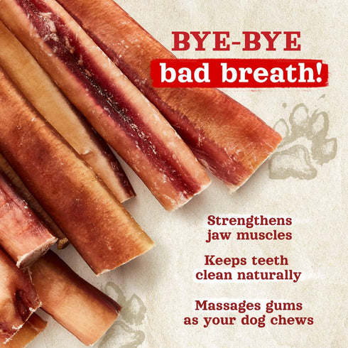 Natural Farm Odor-Free Jumbo Bully Sticks, (6 Inch, 2 Pack), Extra-Thick Chews for Dogs, Fully Digestible 100% Beef Treats, Great for Dental Healt...