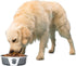 PetRageous 15002 Fiji Stainless Steel Non-Slip Dishwasher Safe Dog Bowl 6.5-Cup Capacity 8.5-inch Diameter 2.75-inch Tall for Large and Extra Larg...