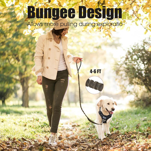BUMBIN 6Ft Dog Leash Large Dogs, Bungee Dog Leash with 2 Handles, Heavy Duty Dog Leashes for Medium Small Dogs, No Pull Shock Absorbing Dog Leash ...