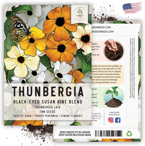 Seed Needs, Black-Eyed Susan Vine Seeds - 100 Heirloom Seeds for Planting Thunbergia alata - Annual Vining Flowers to Cover a Fence or Trellis (1 ...
