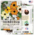 Seed Needs, Black-Eyed Susan Vine Seeds - 100 Heirloom Seeds for Planting Thunbergia alata - Annual Vining Flowers to Cover a Fence or Trellis (1 ...