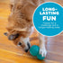 Outward Hound Double-Tuff Interactive Treat Stuffer Dog Chew Toy, Durable Dog Toy, Medium, Blue...